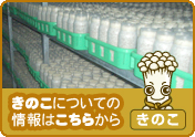 きのこについての情報はこちらから